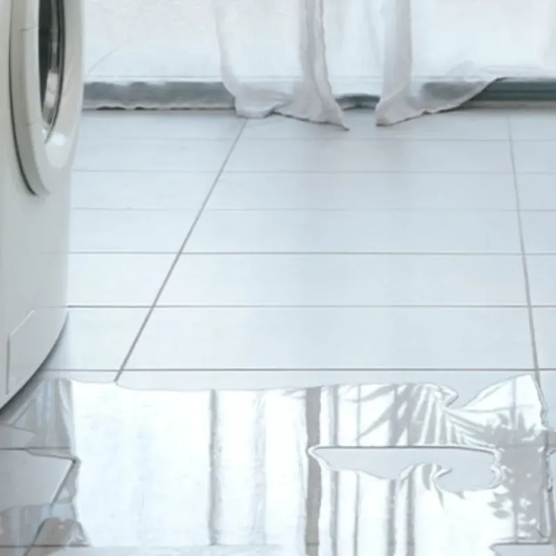 Appliance Leak Cleanup in Canyon City, OR