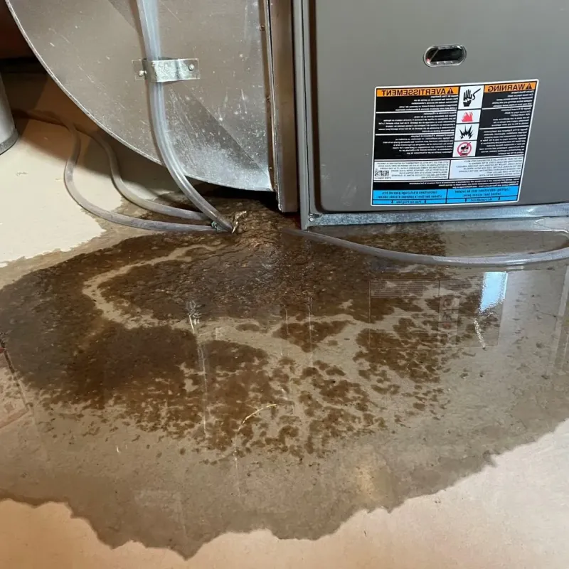 Pipe Burst and Leak Restoration in Canyon City, OR