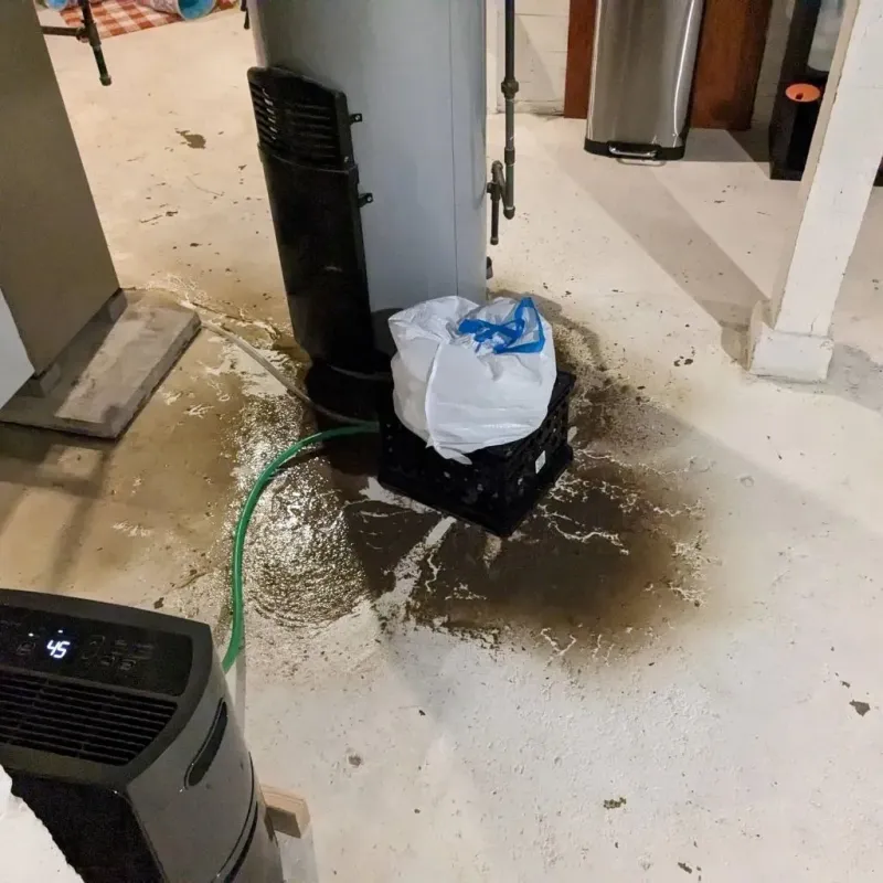 Sewage Backup Cleanup Service in Canyon City, OR
